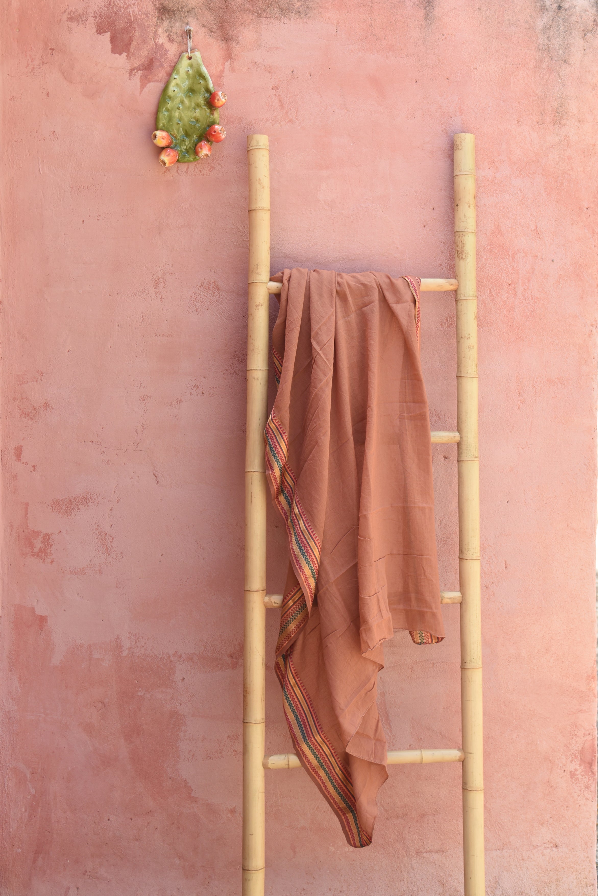 The Pareo // Coconut